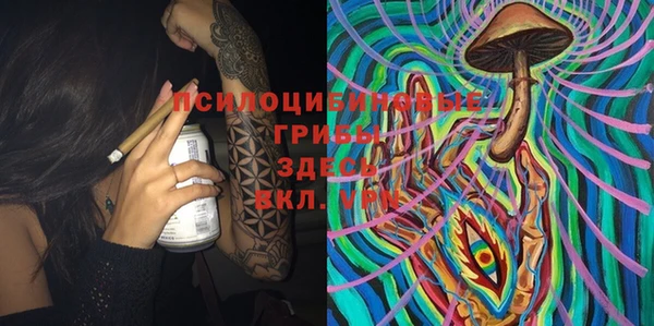 ешки Пестово