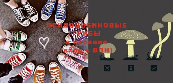 герыч Пересвет