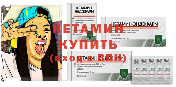 стафф Покачи