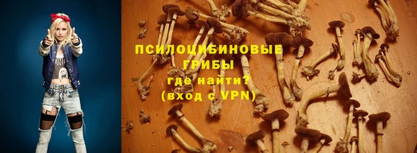 мдпв Переславль-Залесский