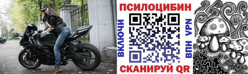 купить наркотики сайты  МЕГА ссылка  Галлюциногенные грибы MAGIC MUSHROOMS  Славгород 
