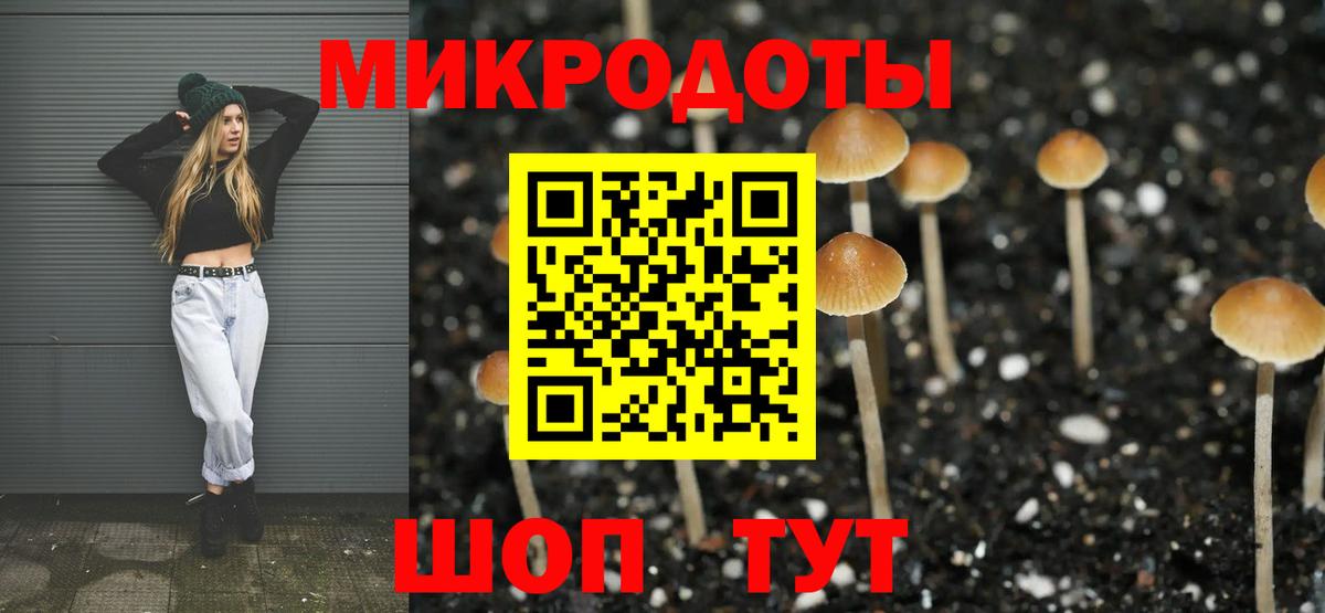 Псилоцибиновые грибы GOLDEN TEACHER Славгород