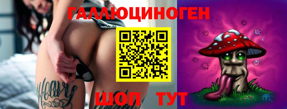 Галлюциногенные грибы GOLDEN TEACHER  где продают наркотики  Вход с VPN  Славгород  Галлюциногенные грибы мицелий 